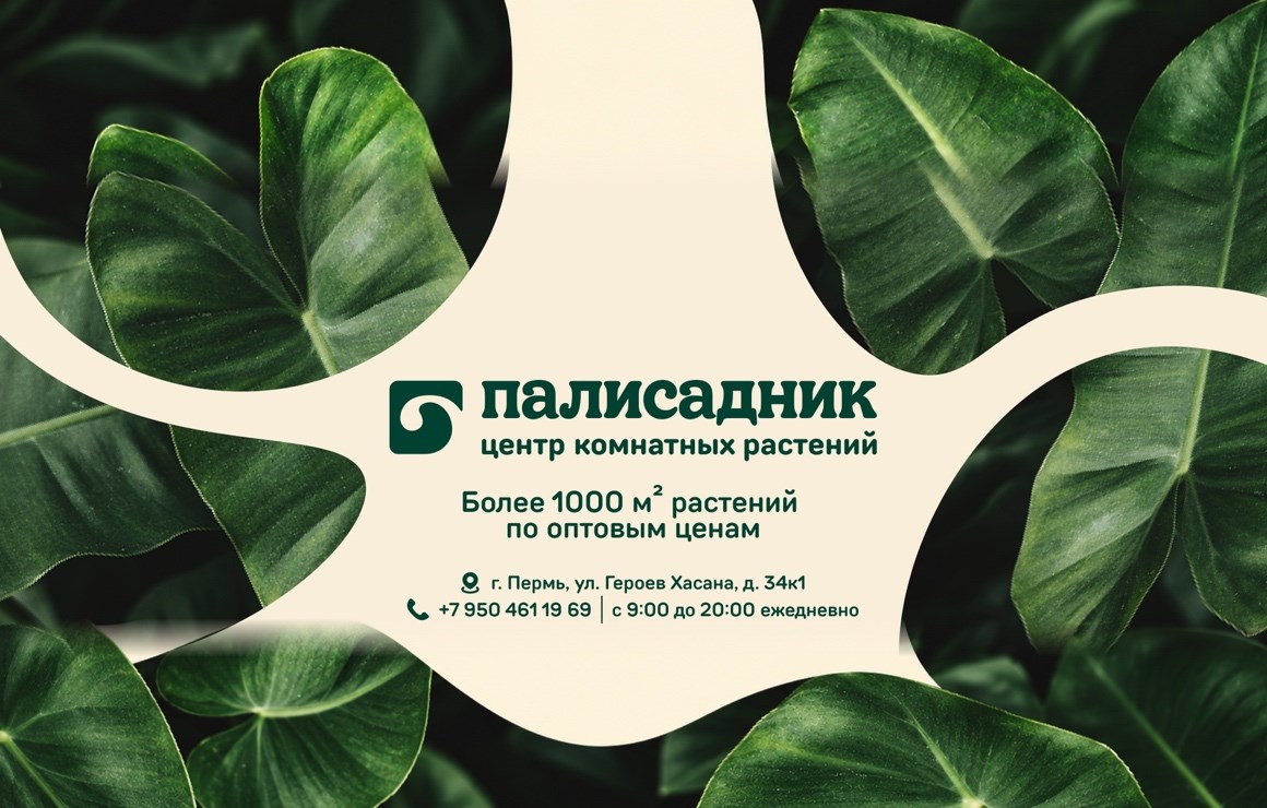 Палисадник — центр комнатных растений в Перми
