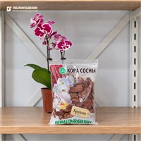 Кора сосны Крупная SKU-4607026880850