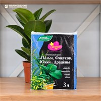 Грунт Цветочный Рай для Пальм 3л 1/6/504 (БХЗ) SKU-4607019650606