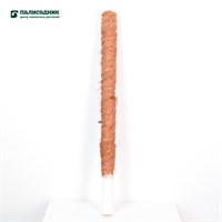 Ствол кокосовый 60см (Ф) SKU-2008339768118